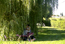 Sophie Cutting the Grass.JPG